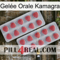 Gelée Orale Kamagra 19